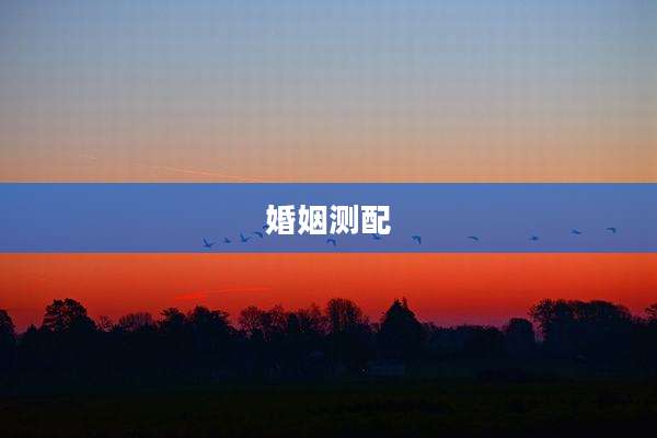 婚姻测配
