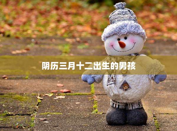 阴历三月十二出生的男孩