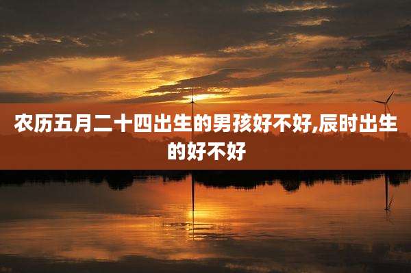 农历五月二十四出生的男孩好不好,辰时出生的好不好