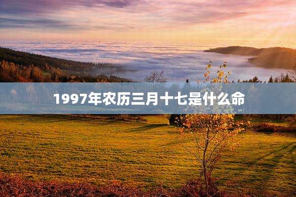 1997年农历三月十七是什么命