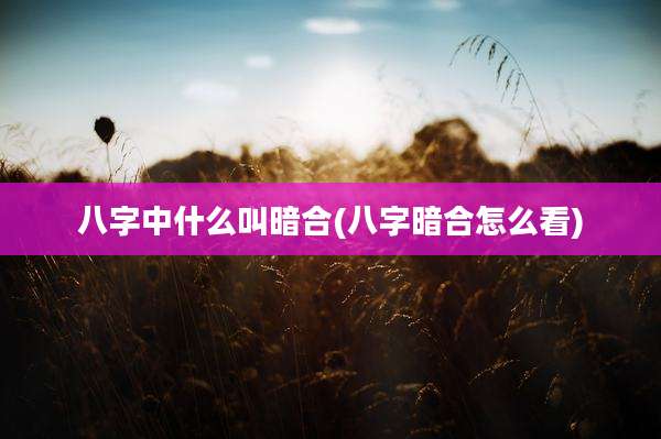 八字中什么叫暗合(八字暗合怎么看)