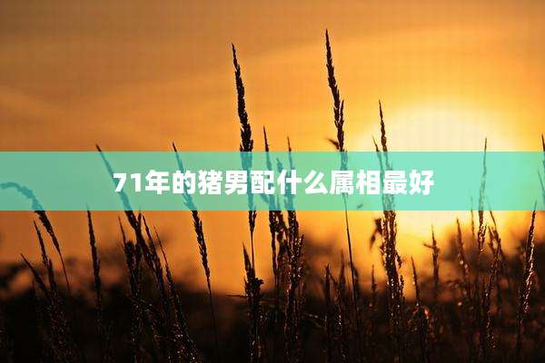 71年的猪男配什么属相最好