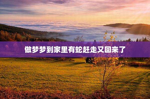 做梦梦到家里有蛇赶走又回来了