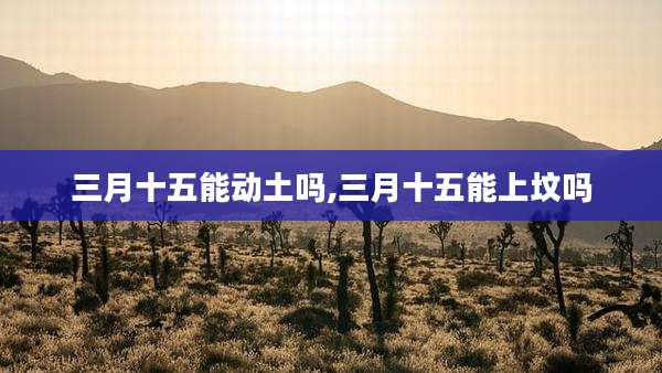 三月十五能动土吗,三月十五能上坟吗
