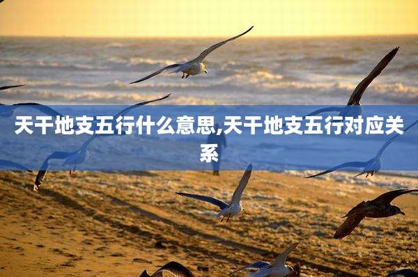 天干地支五行什么意思,天干地支五行对应关系