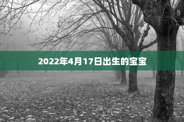 2022年4月17日出生的宝宝