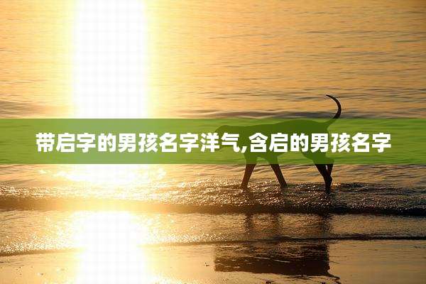 带启字的男孩名字洋气,含启的男孩名字