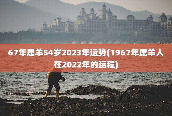 67年属羊54岁2023年运势(1967年属羊人在2022年的运程)