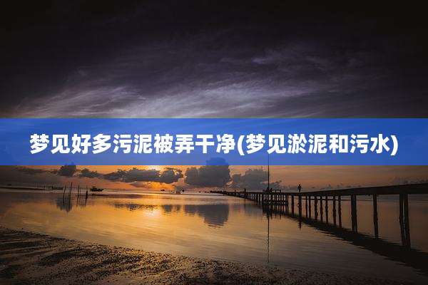 梦见好多污泥被弄干净(梦见淤泥和污水)