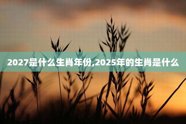 2027是什么生肖年份,2025年的生肖是什么