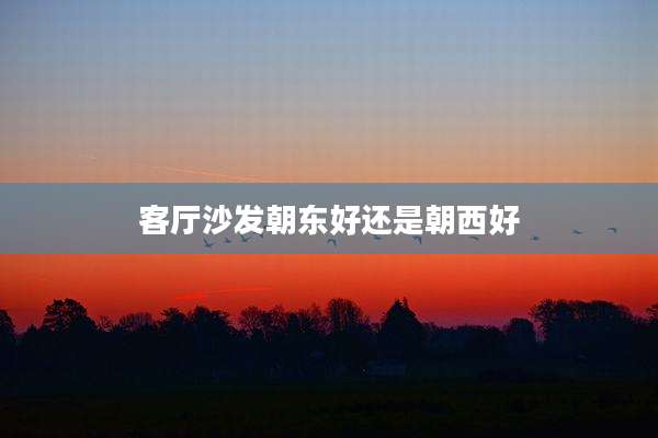 客厅沙发朝东好还是朝西好