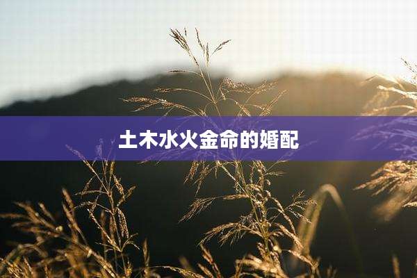 土木水火金命的婚配