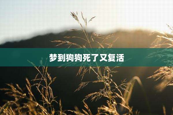 梦到狗狗死了又复活