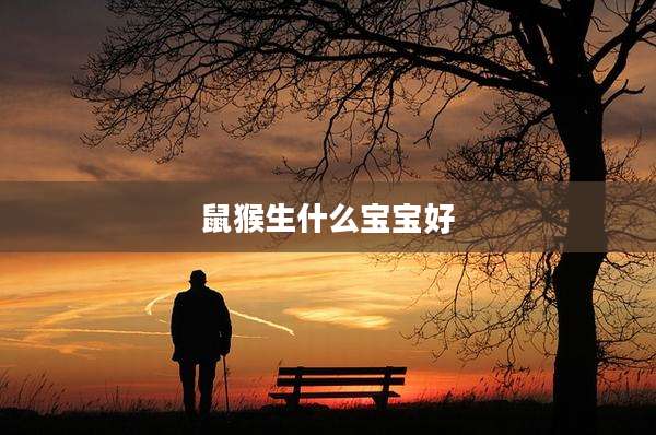 鼠猴生什么宝宝好