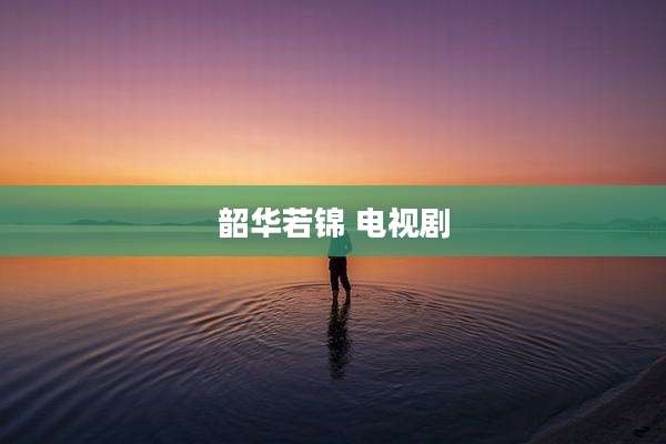 韶华若锦 电视剧