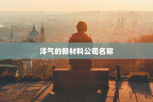 洋气的新材料公司名称