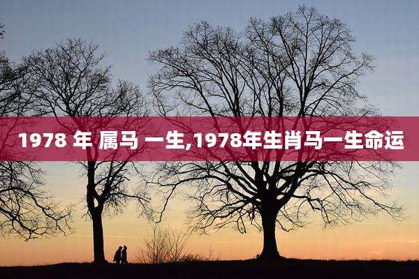 1978 年 属马 一生,1978年生肖马一生命运
