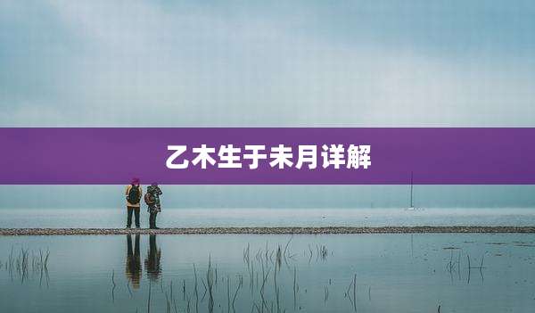 乙木生于未月详解
