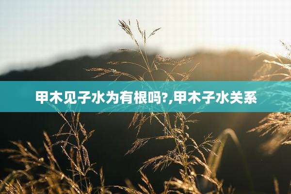 甲木见子水为有根吗?,甲木子水关系