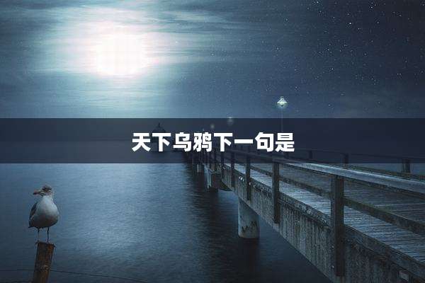 天下乌鸦下一句是