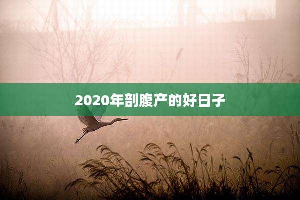 2020年剖腹产的好日子