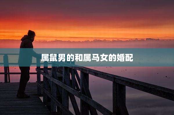 属鼠男的和属马女的婚配