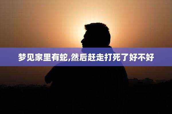 梦见家里有蛇,然后赶走打死了好不好