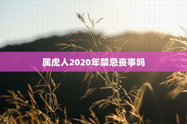 属虎人2020年禁忌丧事吗