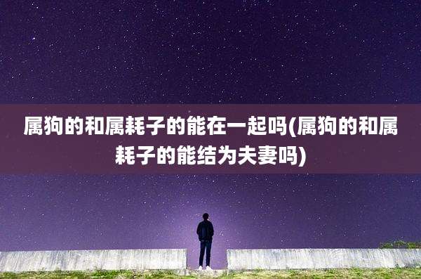 属狗的和属耗子的能在一起吗(属狗的和属耗子的能结为夫妻吗)