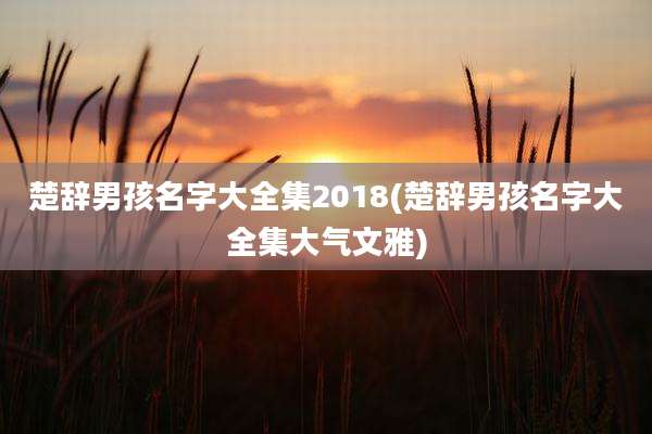 楚辞男孩名字大全集2018(楚辞男孩名字大全集大气文雅)