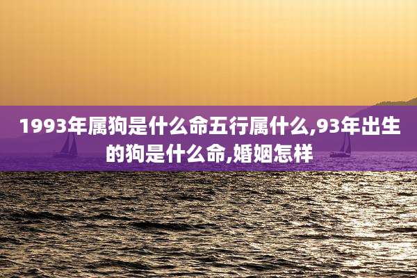 1993年属狗是什么命五行属什么,93年出生的狗是什么命,婚姻怎样