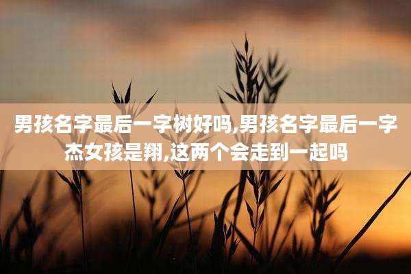 男孩名字最后一字树好吗,男孩名字最后一字杰女孩是翔,这两个会走到一起吗