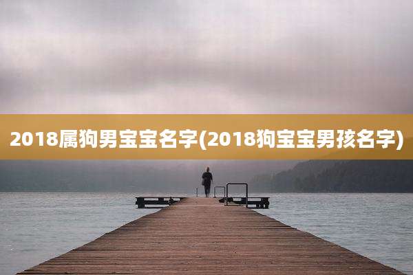 2018属狗男宝宝名字(2018狗宝宝男孩名字)