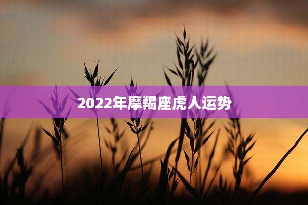 2022年摩羯座虎人运势