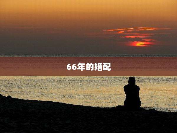 66年的婚配