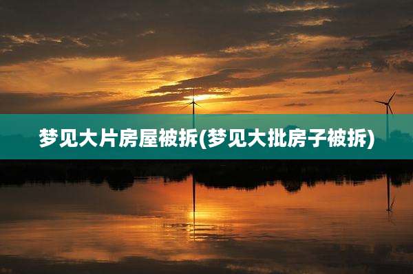 梦见大片房屋被拆(梦见大批房子被拆)