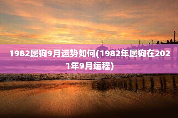 1982属狗9月运势如何(1982年属狗在2021年9月运程)