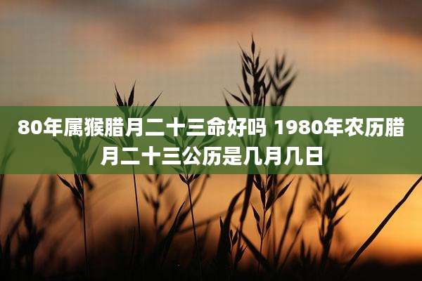 80年属猴腊月二十三命好吗 1980年农历腊月二十三公历是几月几日