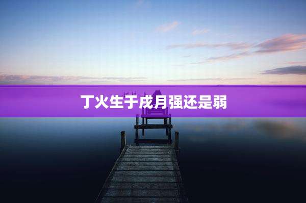 丁火生于戌月强还是弱