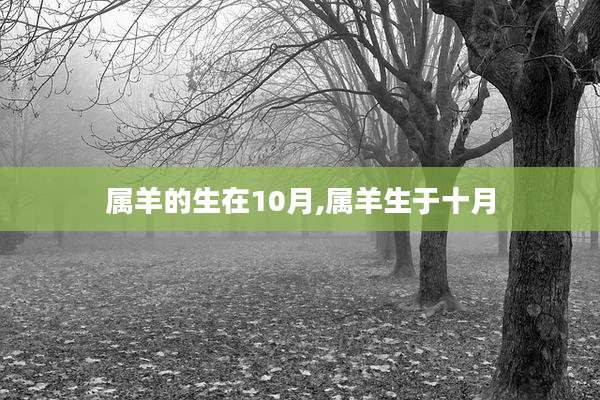 属羊的生在10月,属羊生于十月