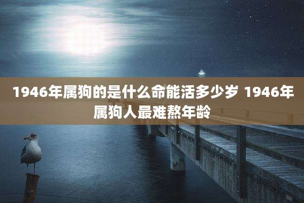 1946年属狗的是什么命能活多少岁 1946年属狗人最难熬年龄