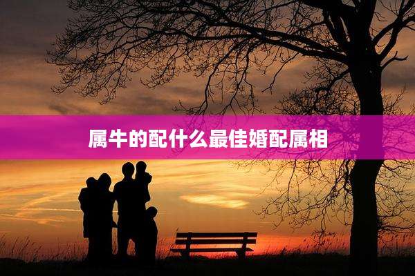 属牛的配什么最佳婚配属相