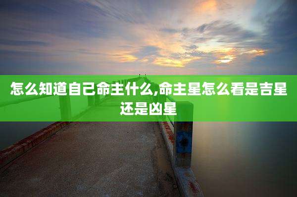 怎么知道自己命主什么,命主星怎么看是吉星还是凶星