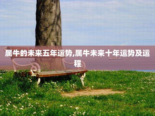 属牛的未来五年运势,属牛未来十年运势及运程