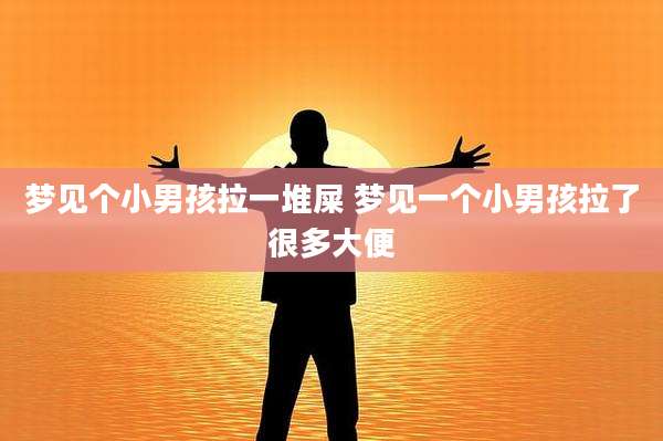 梦见个小男孩拉一堆屎 梦见一个小男孩拉了很多大便