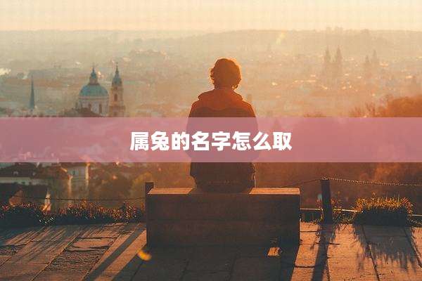 属兔的名字怎么取