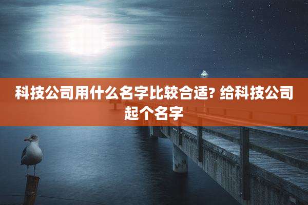 科技公司用什么名字比较合适? 给科技公司起个名字