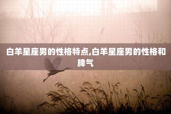 白羊星座男的性格特点,白羊星座男的性格和脾气