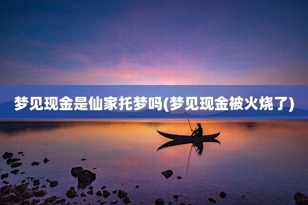 梦见现金是仙家托梦吗(梦见现金被火烧了)