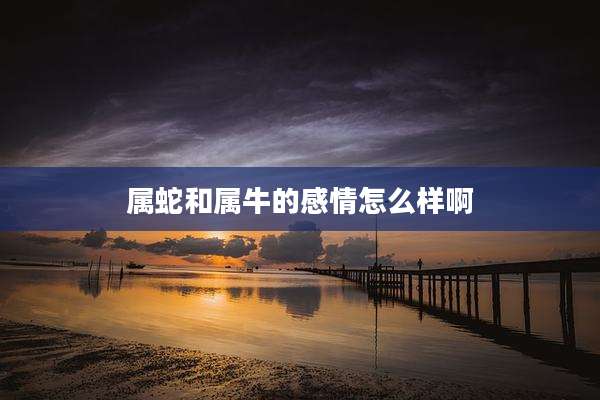 属蛇和属牛的感情怎么样啊
